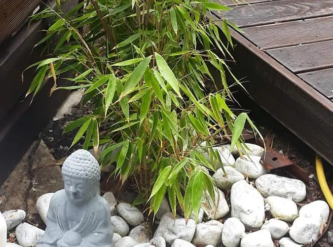 Miet-kamp Ruhig, Zentral, Nahe Messe, Ausgefallenes Design 2 Schlafzimmer